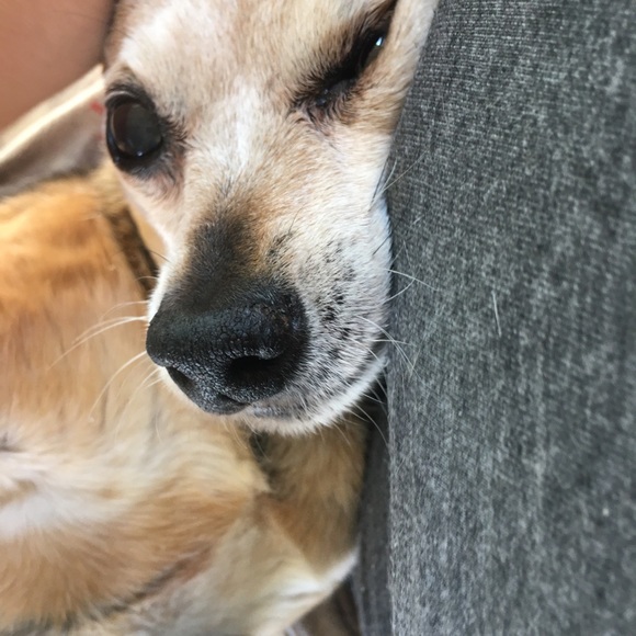 ❤️ Family ❤️ - Picture 5 of 15